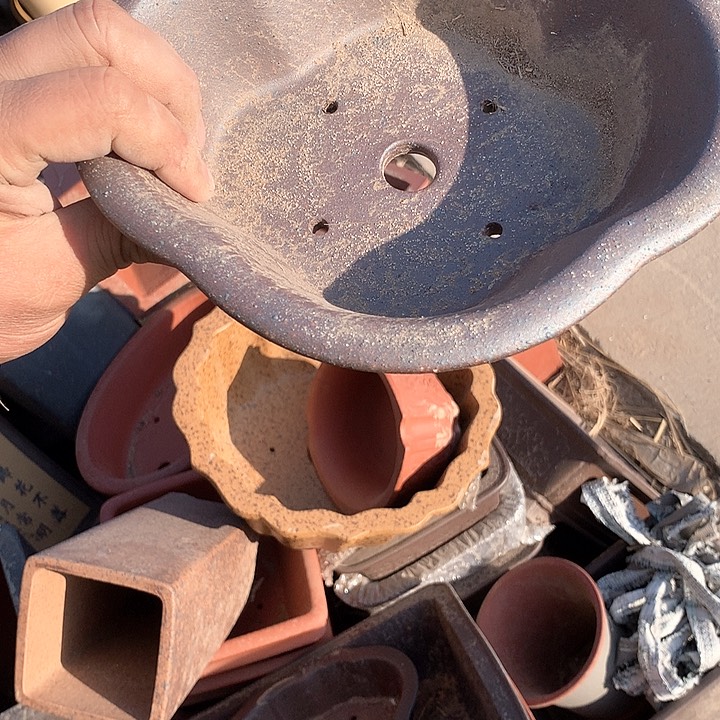 紫砂没有你喜欢吃辣不喜欢