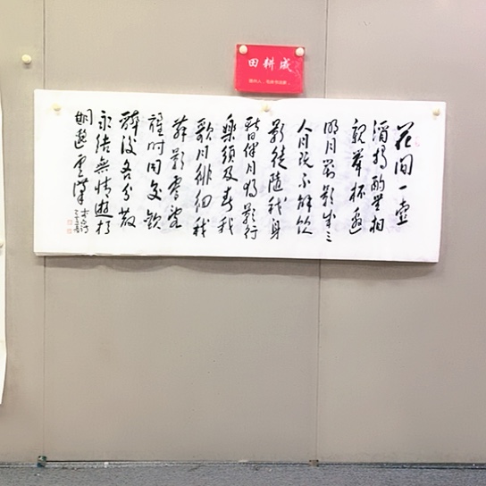 书法田耕成书法作品欣赏