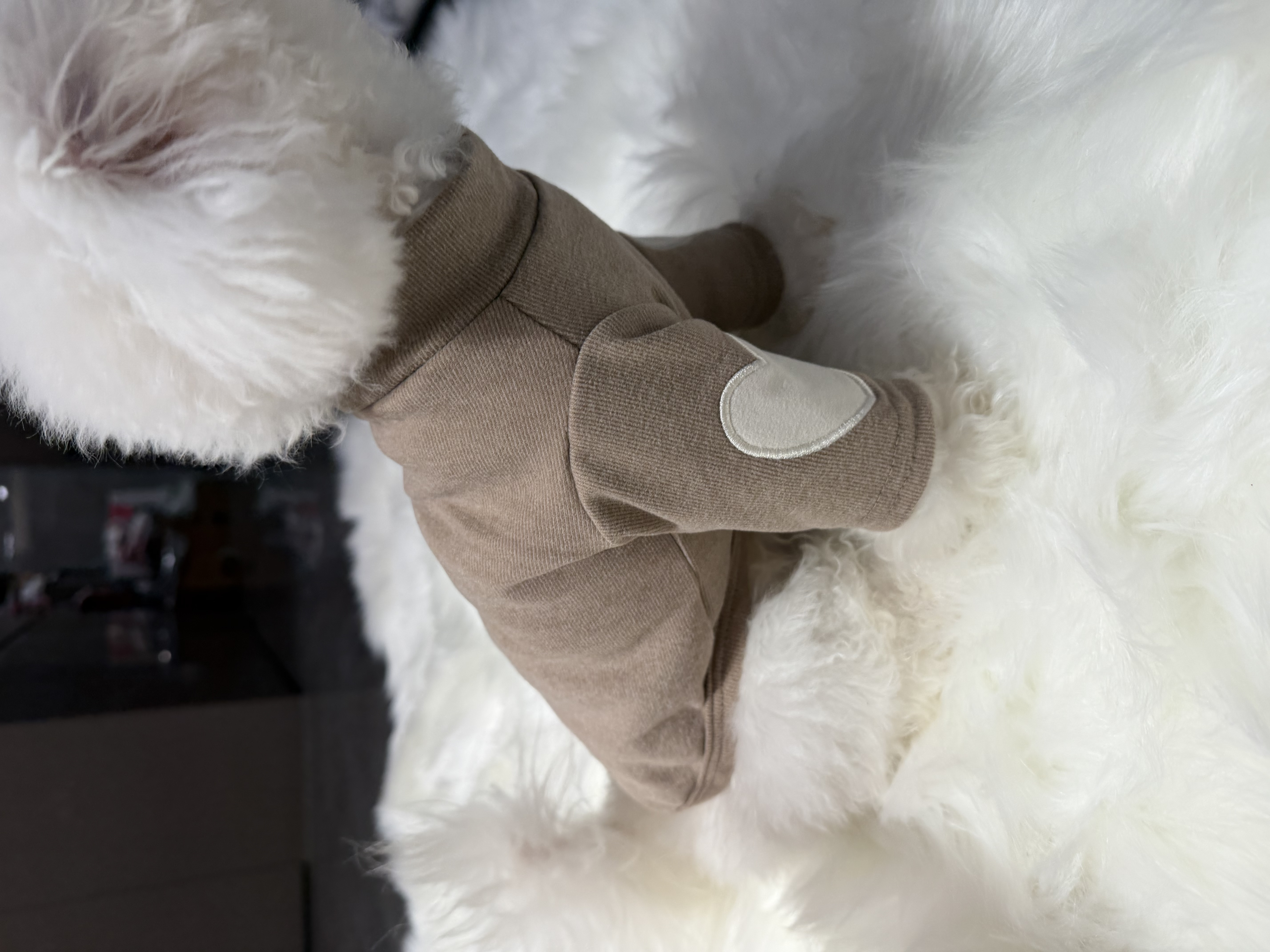 小型犬猫咪春秋高领爱心打底衫宠物服饰