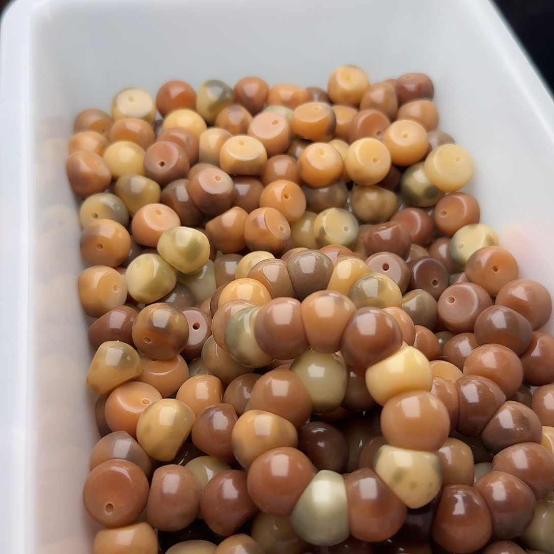 菩提根/象牙果吊坠50 颗豹纹蒜瓣 14