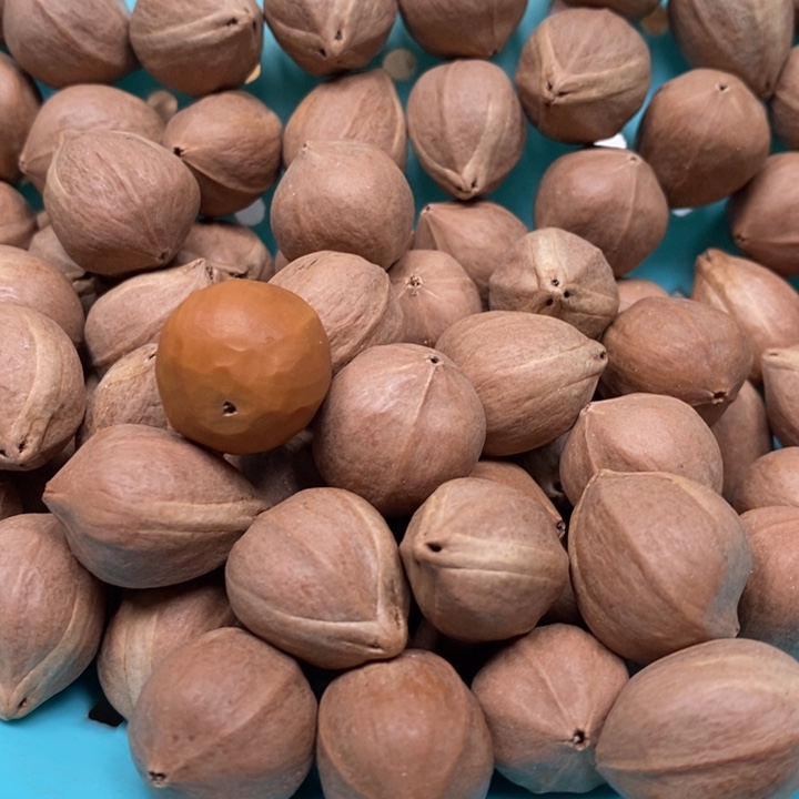 吊坠橄榄核品**鱼一斤