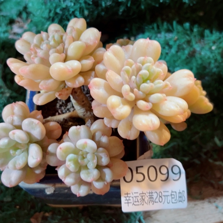 幸运的是我还没遇到