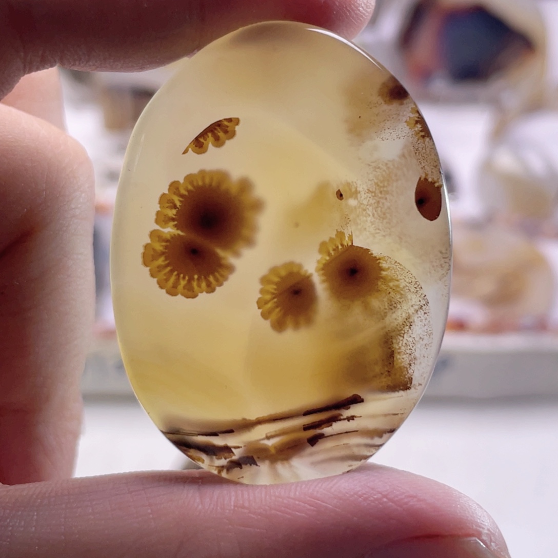 玛瑙/玉髓未镶嵌珠宝奇石