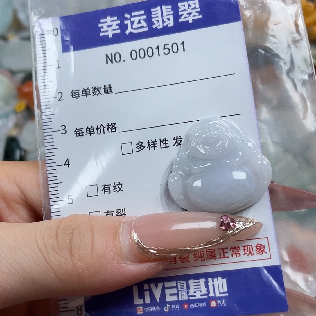 翡翠未镶嵌颈饰Hhh