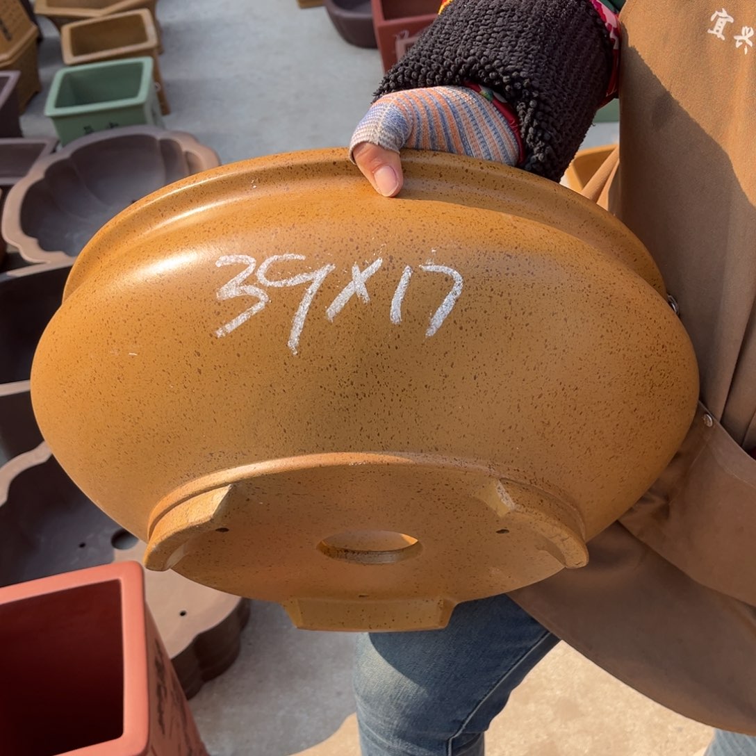 紫砂花盆盆景艺术