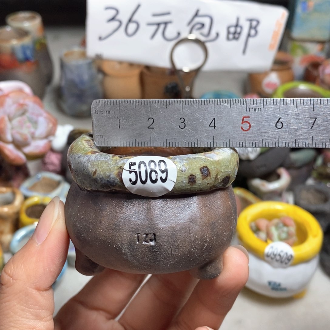 拍3送一个小礼物