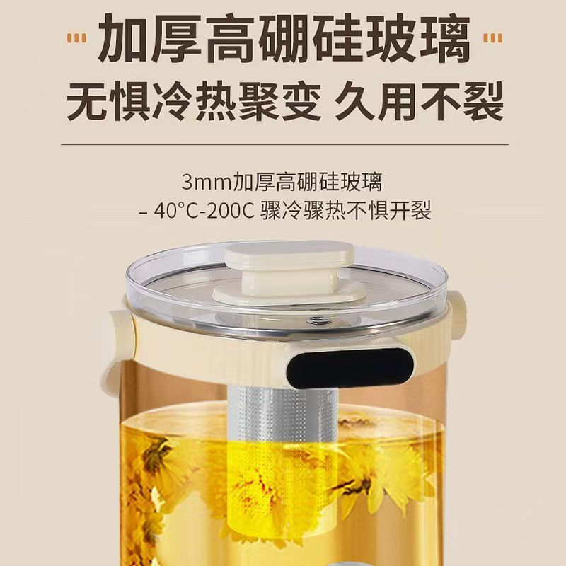 养生水煮壶 家用高颜值 颜色规格随机 QW