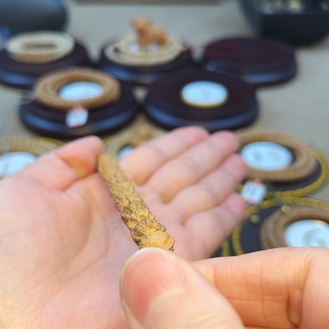 激***胧柏香籽/百香籽手串