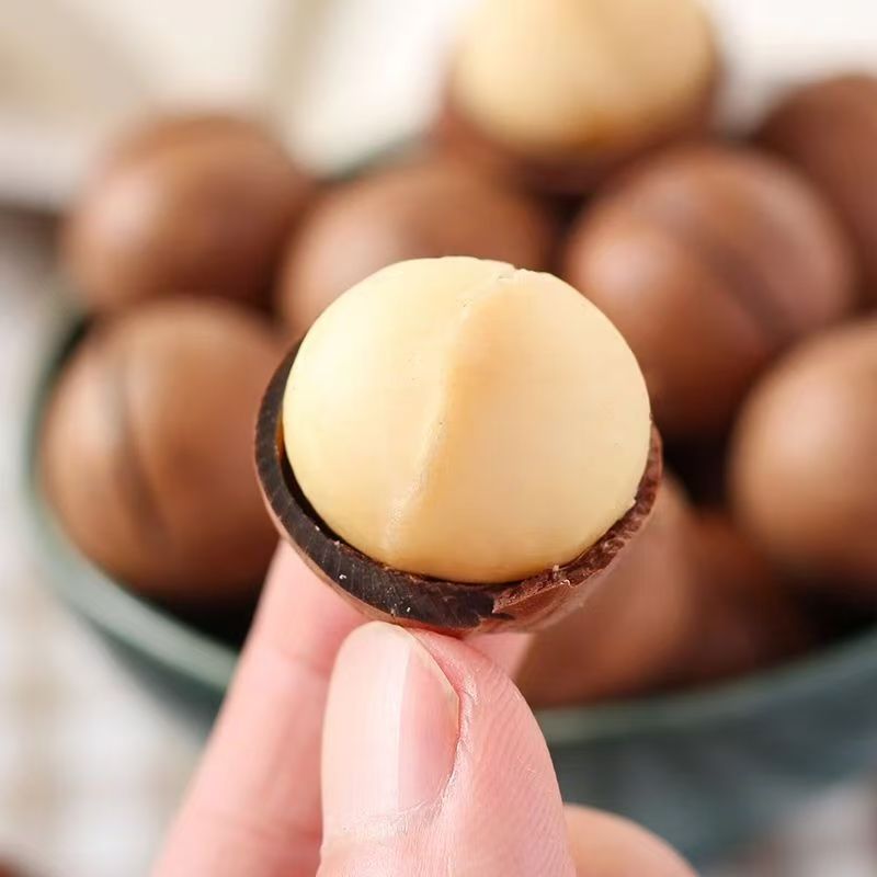 新鲜采摘大颗粒原香夏威夷果美味解馋健康坚果零食干果无添加