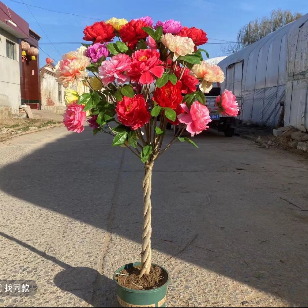 编织麻花造型大花重瓣耐寒木槿花苗庭院种植