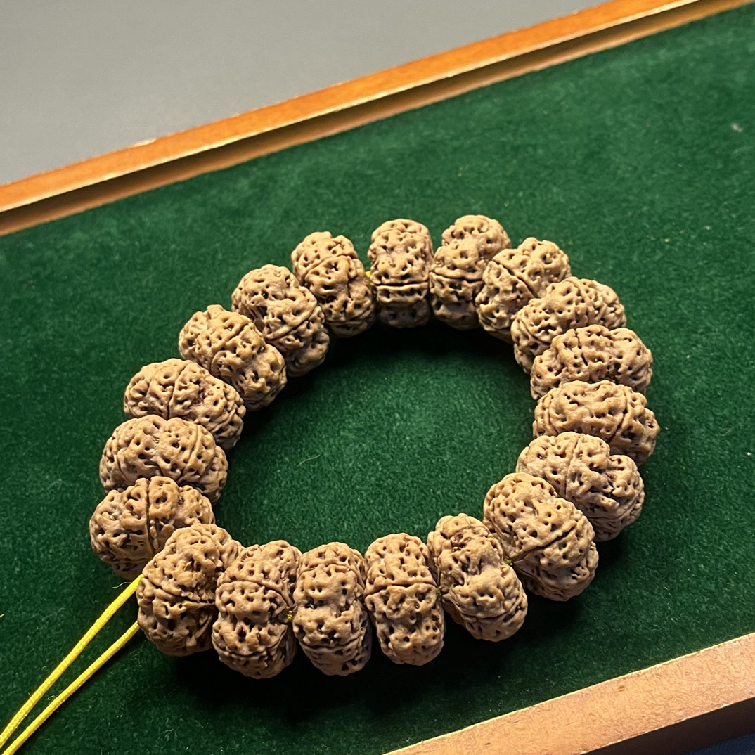 尼泊尔金刚（改价链接）