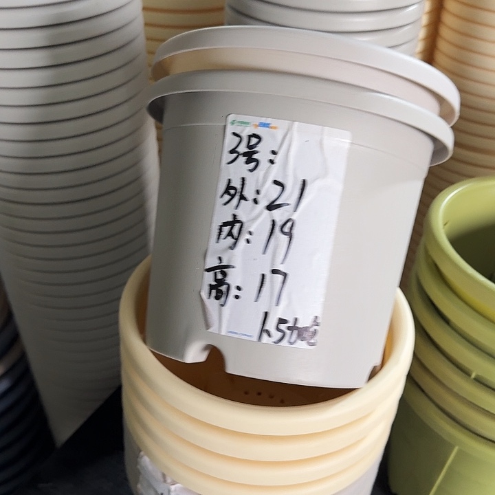 微瑕3#灰白10个无托