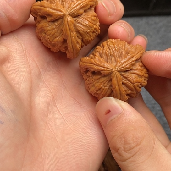 淡**笑白狮子1111111111111