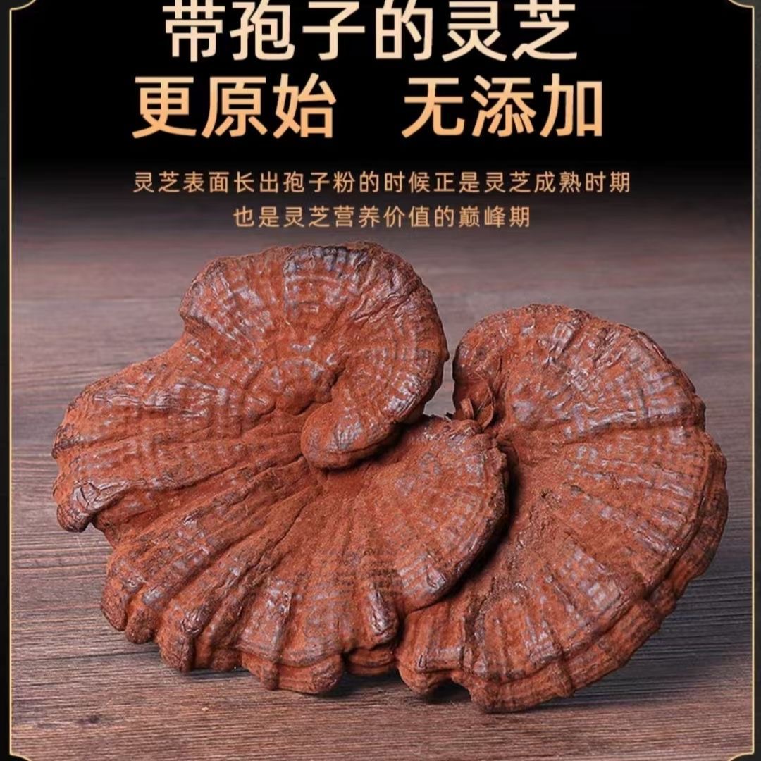 【灵芝】云南高山精选头道灵芝香血灵芝营养丰富非枸杞