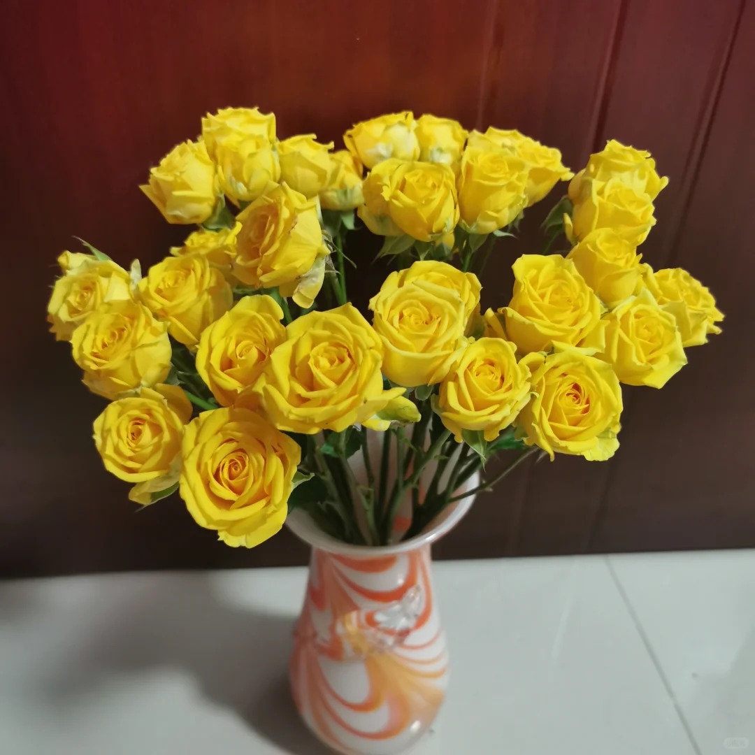 切诺基，多头玫瑰，1单冷链包邮，2单升级京东或者顺丰，远的发德邦