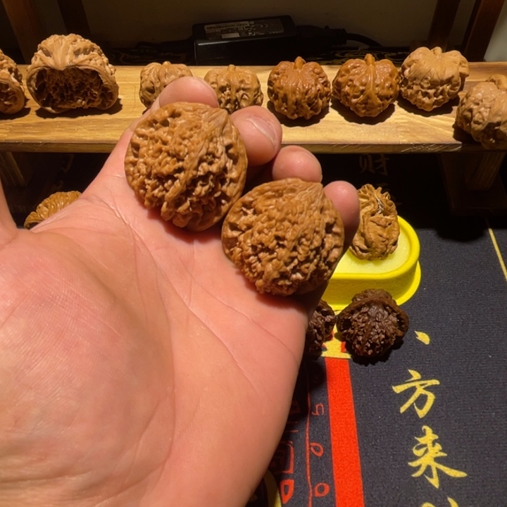 核桃40全品满天星。。。。。