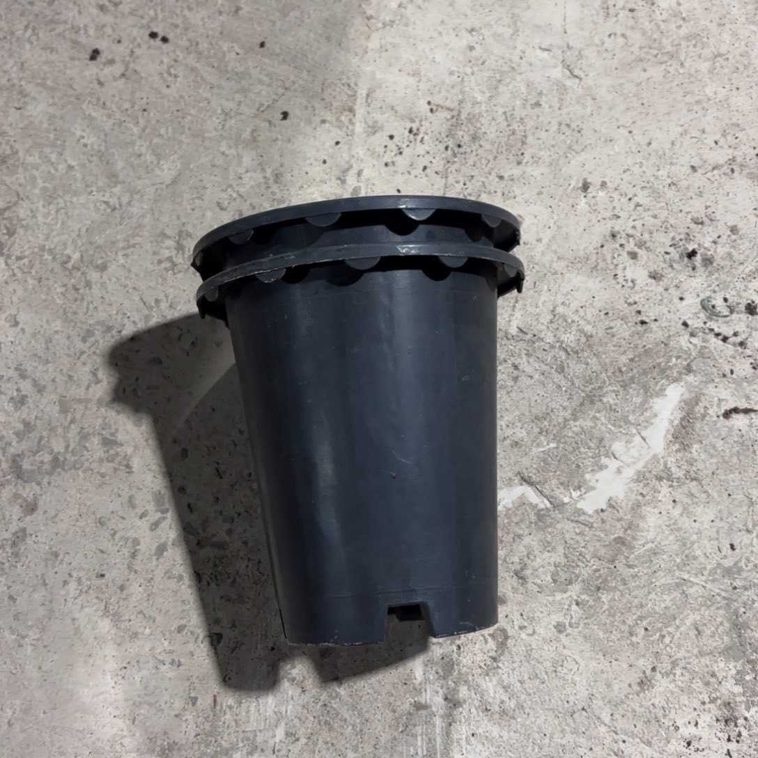 兰花盆12.5✖️13.5发25个