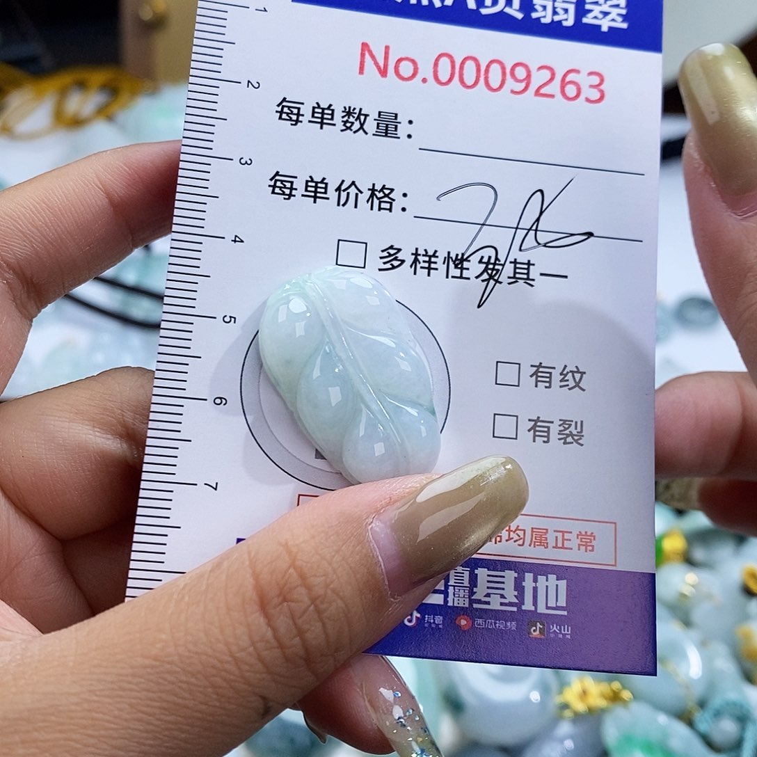 翡翠未镶嵌颈饰9263