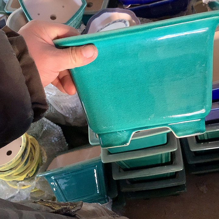 紫砂哈哈真的是太给力太火爆了