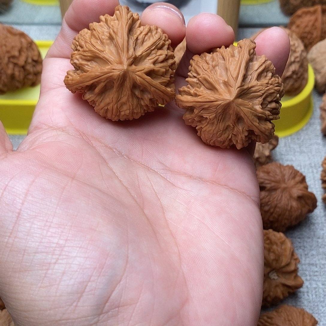 光***张文玩核桃吊坠玉龙粗筋42