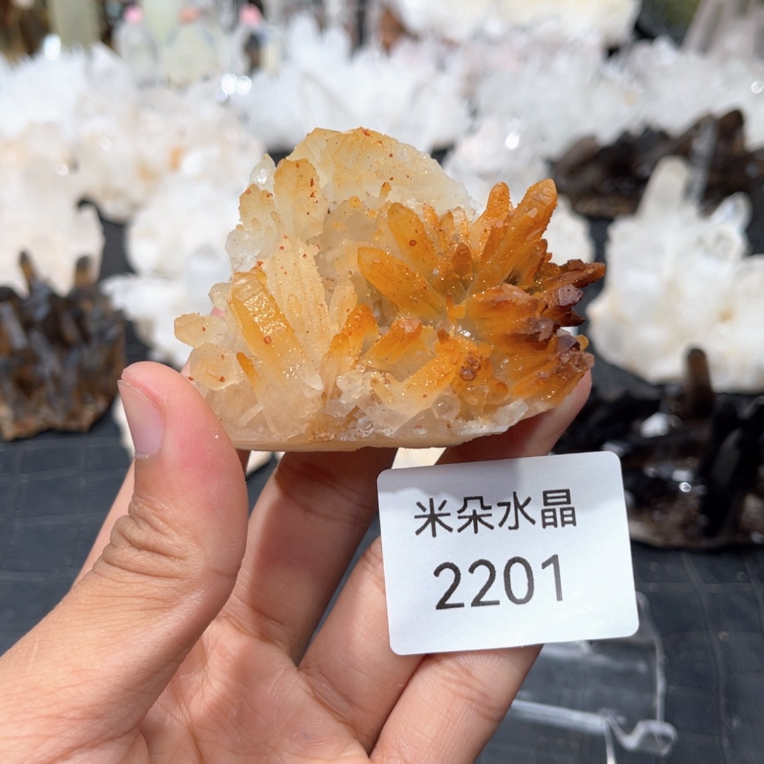 轩***蹊未镶嵌珠宝半成品水晶水晶