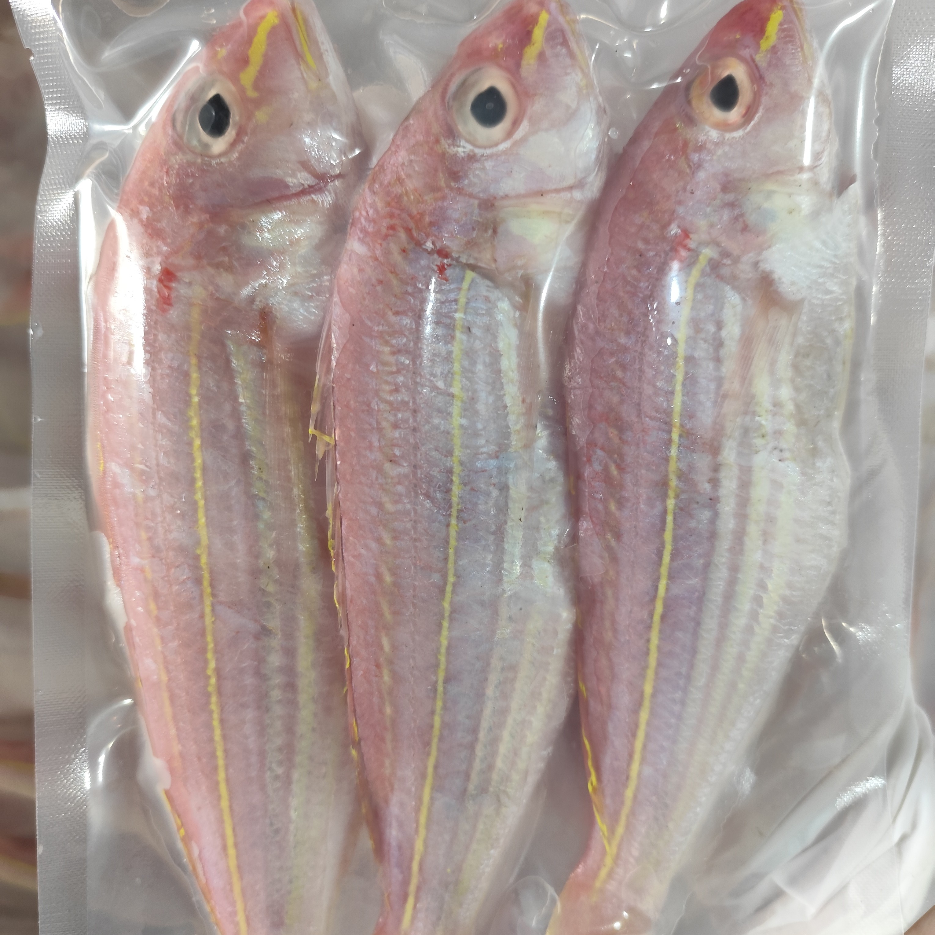 汕尾马宫本港-拖网金线鱼，肉质肥美，拖网掉鳞正常现象，介意慎拍