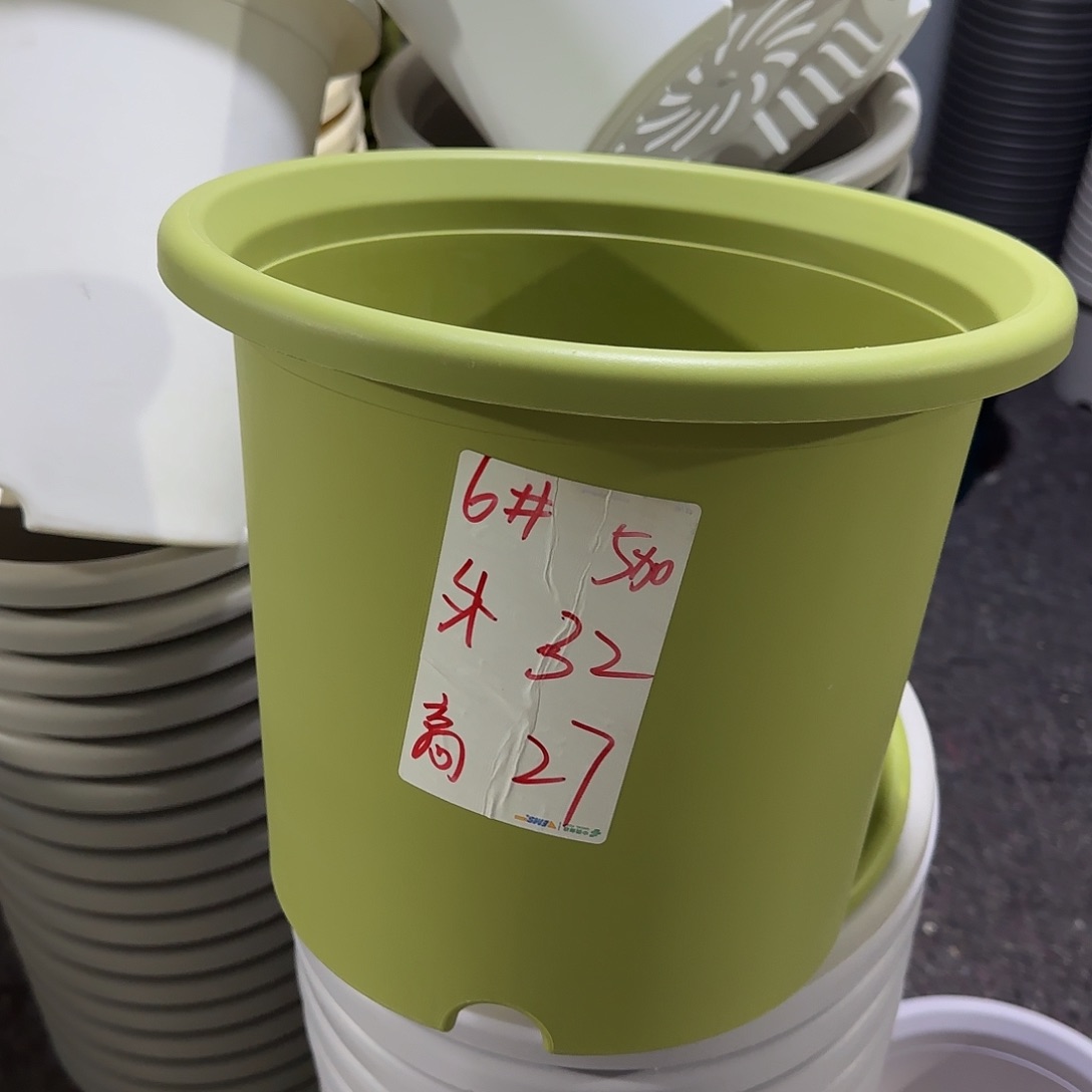 微瑕6号3个无托，果绿