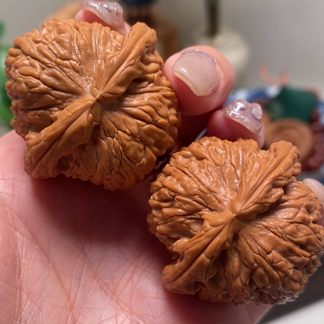 文玩核桃把件40尺寸全品白狮子