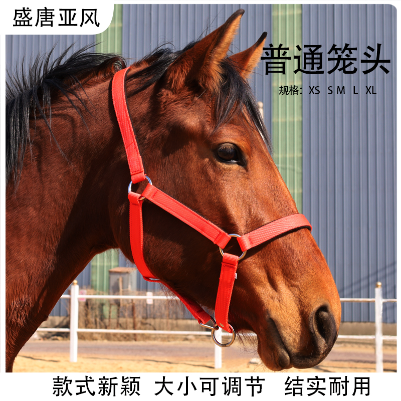 普通笼头大小矮马可调节马术用品马具耐磨骑马遛马马龙头