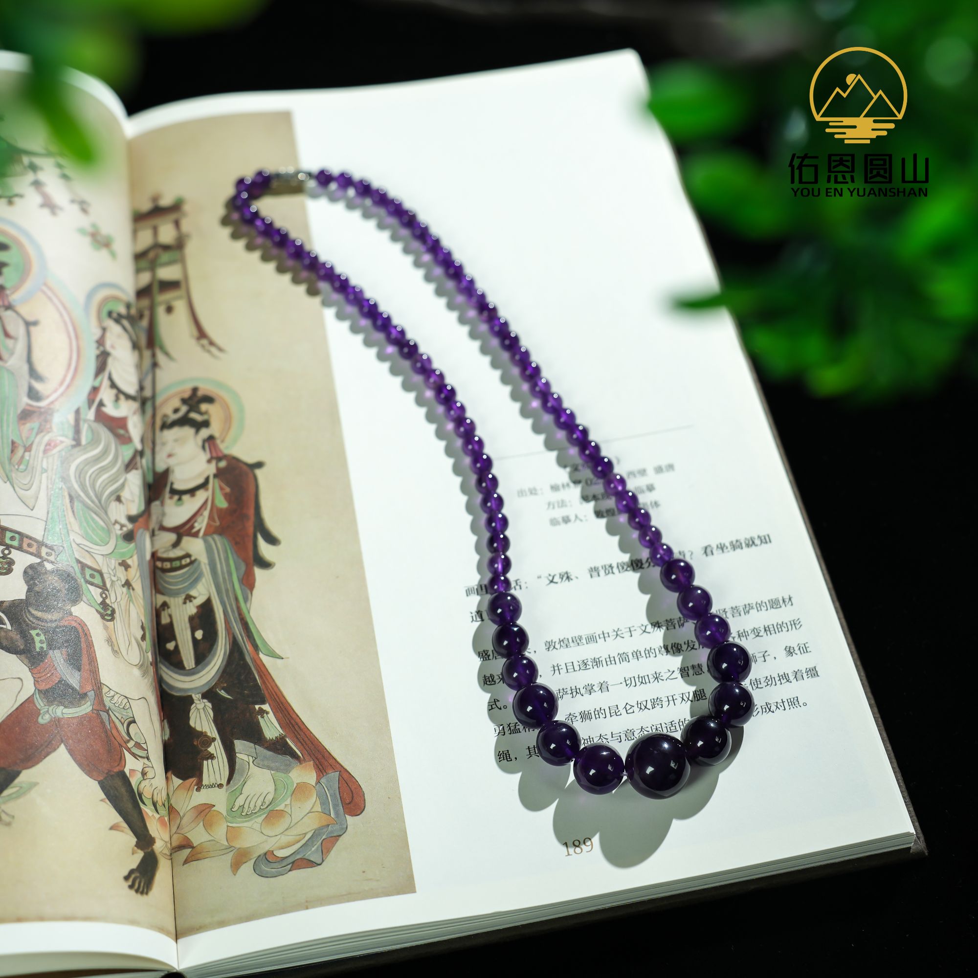 【皇家紫】佑恩设计锁骨塔链5168