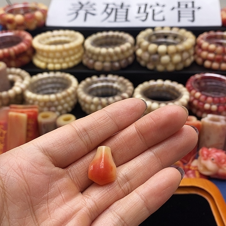 㞮***孞其他驼骨三通小号