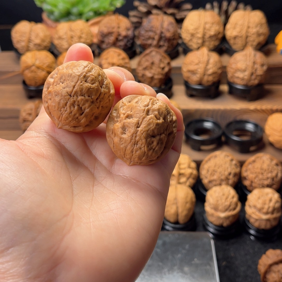 文玩核桃把件@*淡金龟子