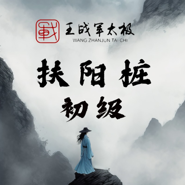 初级扶阳桩功王战军线上视频课（下单后查看短信解锁课程）