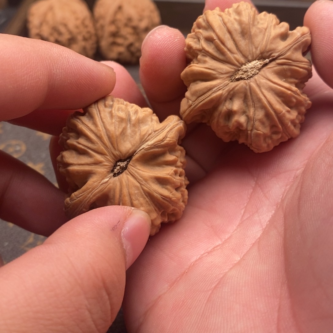 文玩核桃吊坠霸王龙