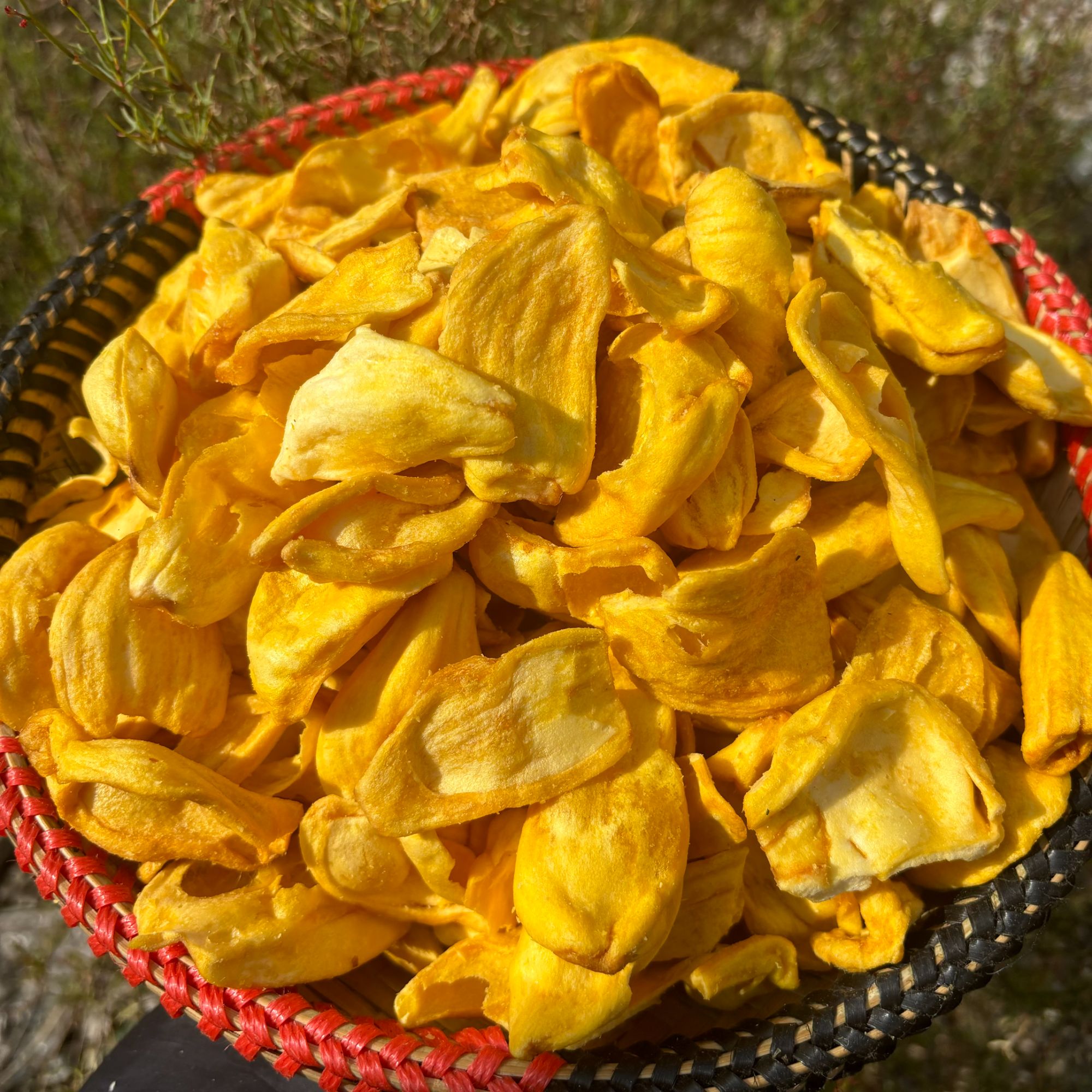 【涛涛3】菠萝蜜干 深山农家山货