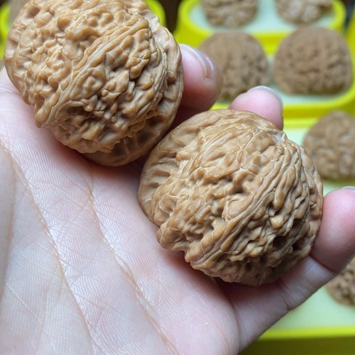 文玩核桃白狮子42福利价