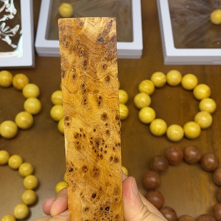 贝壳杉（血龙木）其他