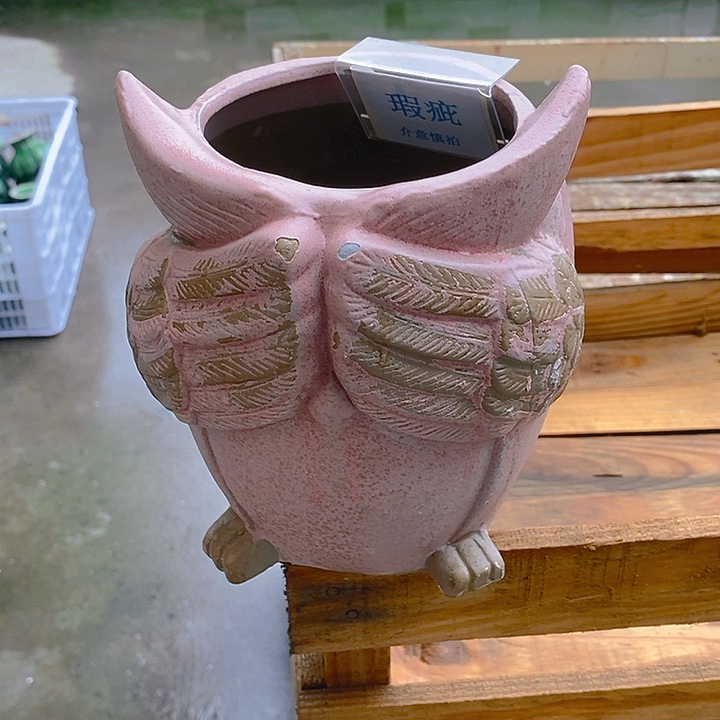 紫砂花盆大*儿多肉绿植瑕疵盆有孔