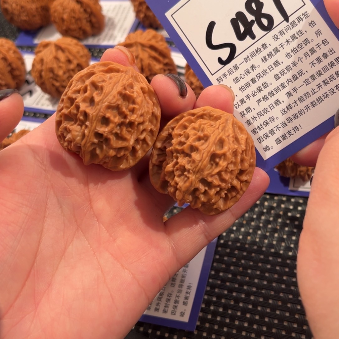 核桃S487号苹果园37尺