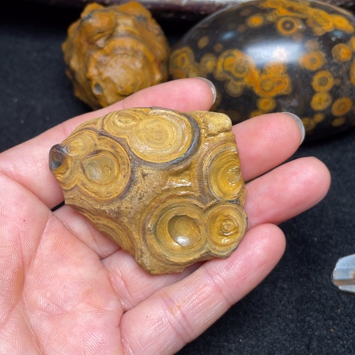 石材九眼页岩钱币石原石22