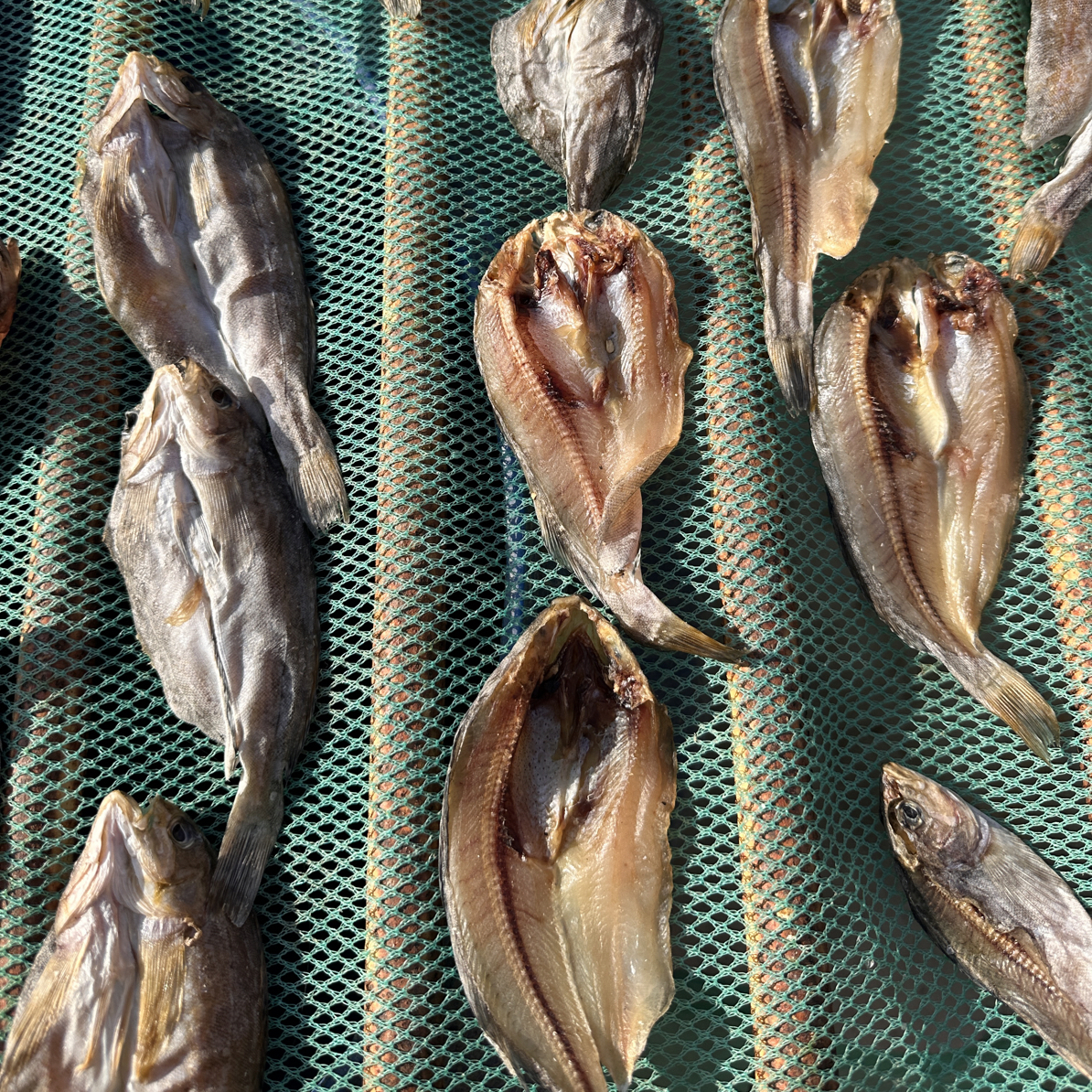 海岛自家渔船野生黄鱼干