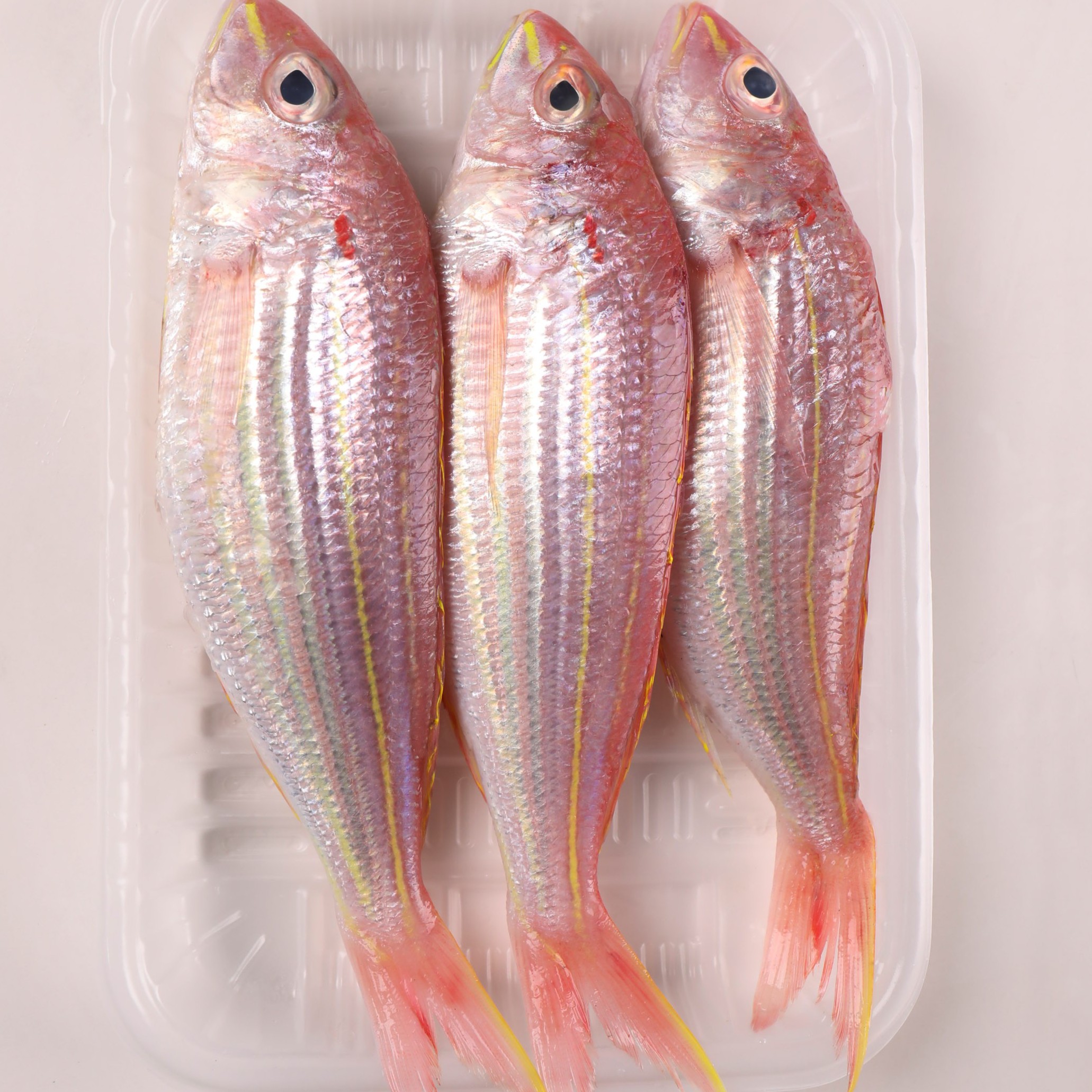 海钓金丝鱼  4斤（2-3条/斤）野生海钓金线鱼  速冻发货  顺丰包邮