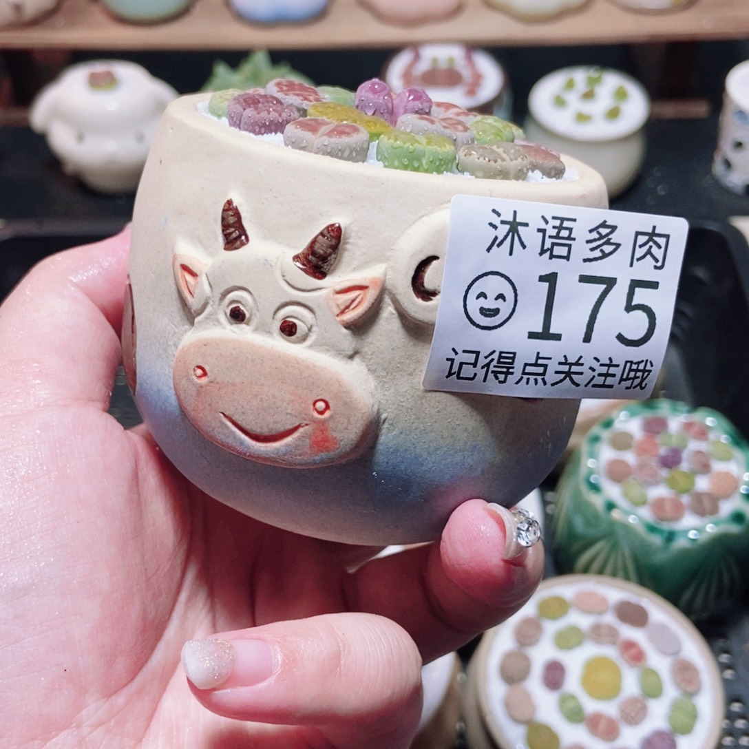 一物一拍 所见即所得 175