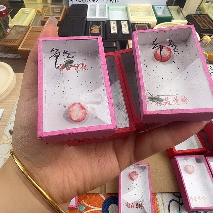 争气……金蛉子2只，青竹2只