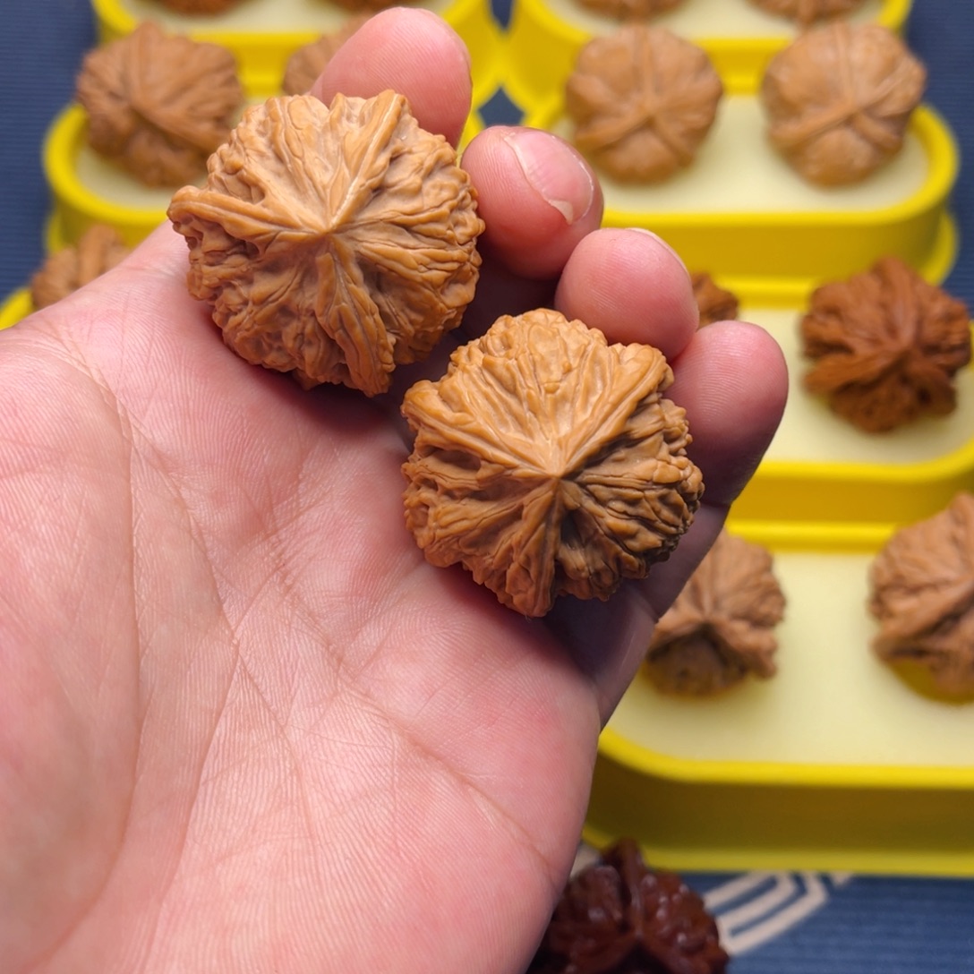 核桃手串/手链玉龙粗筋全品37