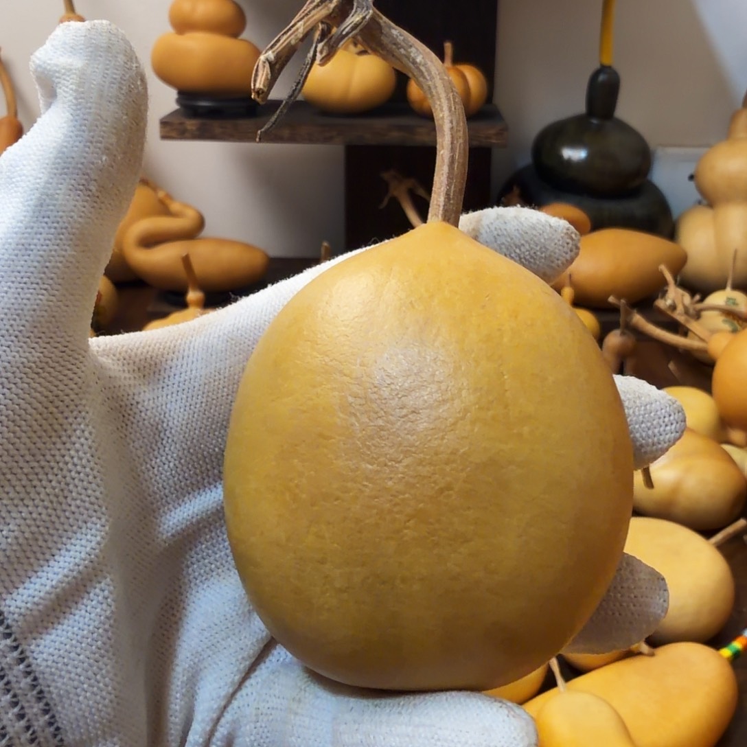 在***我纯天然的真葫芦28