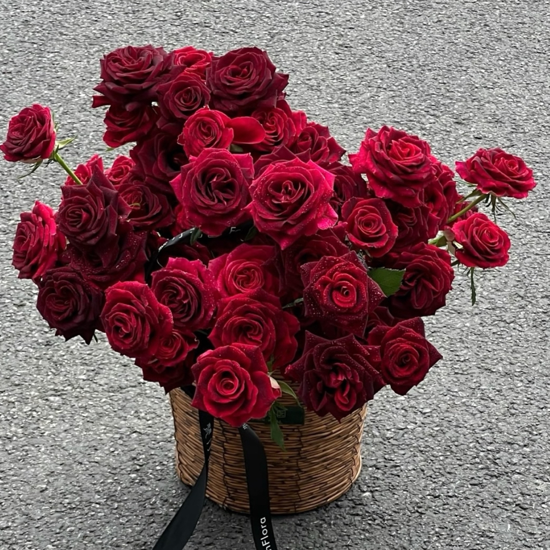 【云梦花铺】单头玫瑰紫罗兰-云南基地直发-一单普通快递两单发顺丰