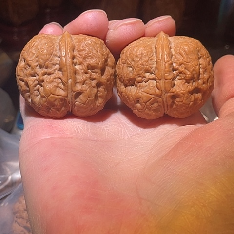 文玩核桃把件粗筋小霸王带彩40
