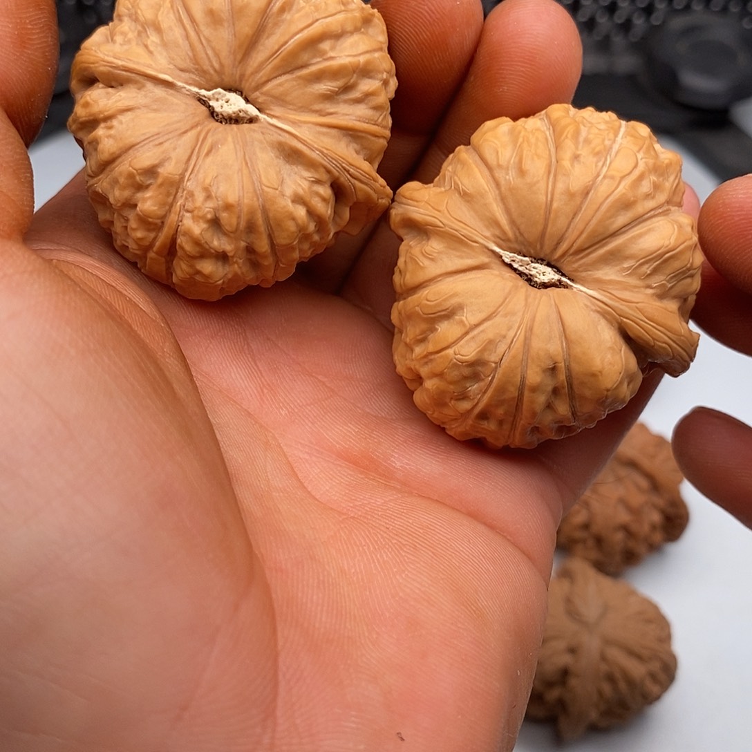 文玩核桃把件45南瓜墩