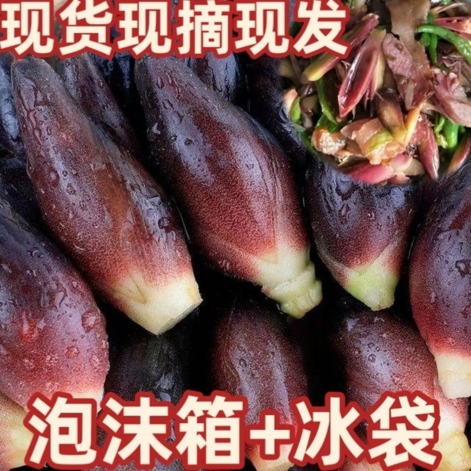 洋荷姜新鲜贵州阳荷批发农家现摘洋藿阳合笋洋荷姜阳合洋荷洋火姜